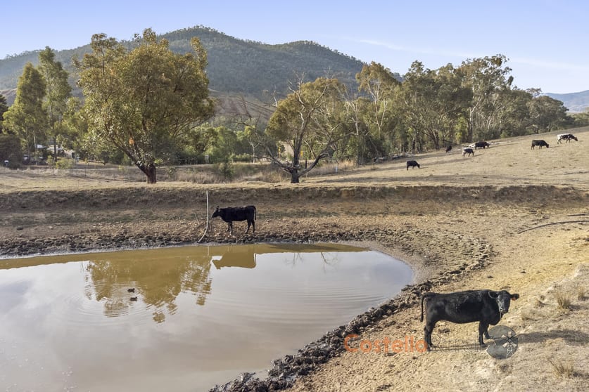 8243 Murray River Rd Walwa VIC 3709 - Image 3