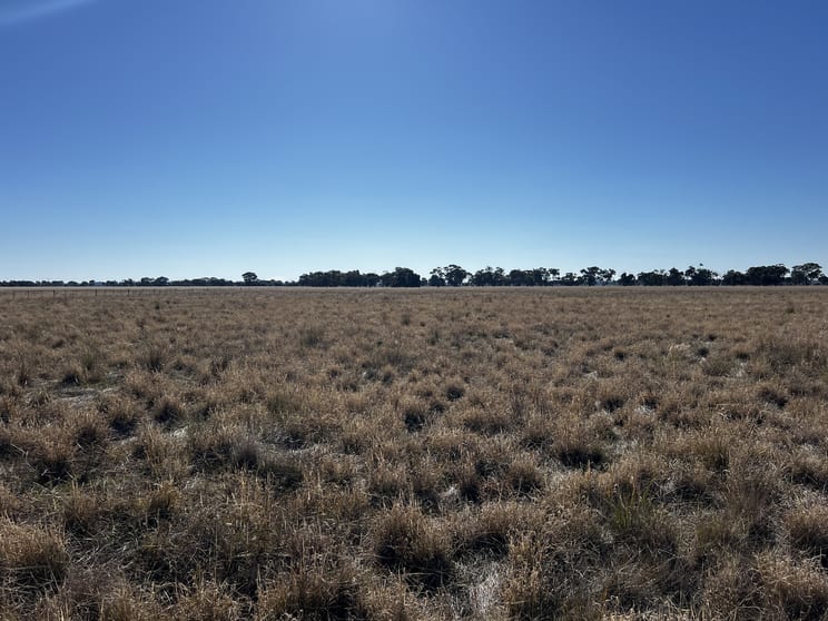 CA 8 Murray Valley Highway Torrumbarry VIC 3562 - Image 2