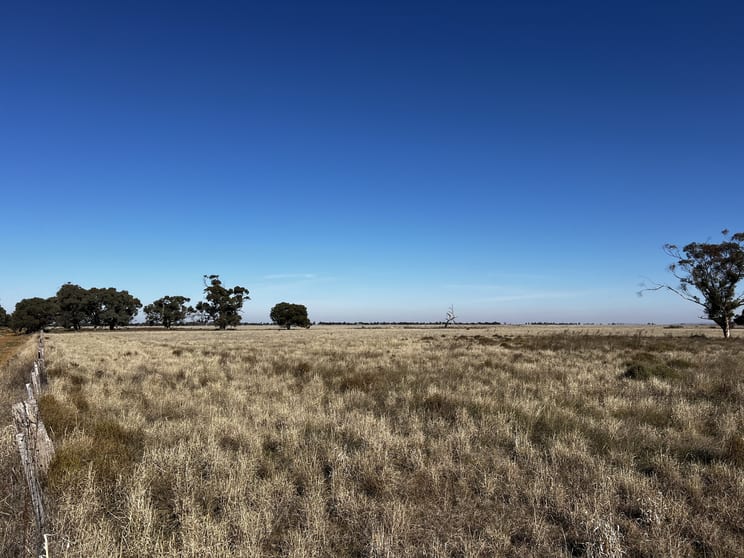 CA 8 Murray Valley Highway Torrumbarry VIC 3562 - Image 3