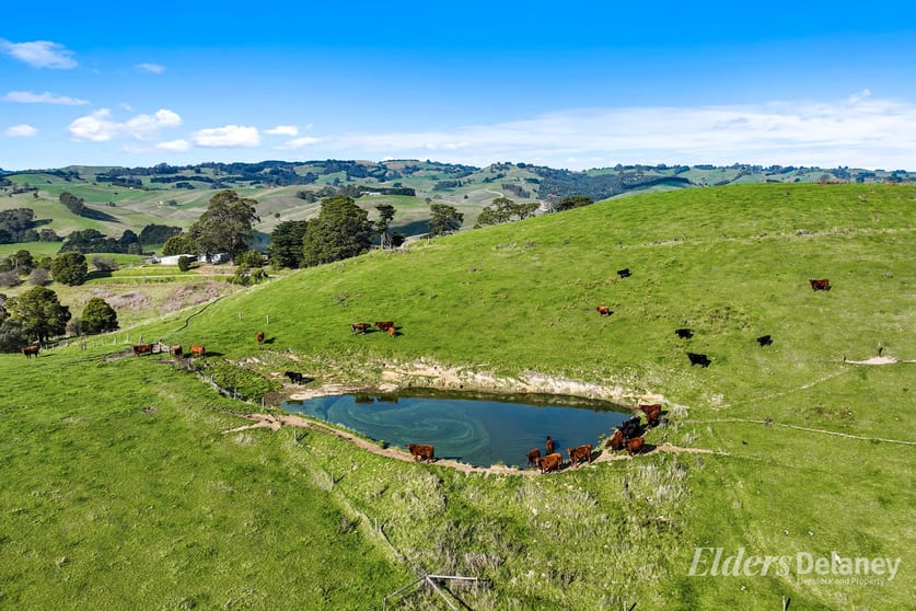 Click to view all images 8 Curwen Road Mountain View VIC 3988 - Image 3
