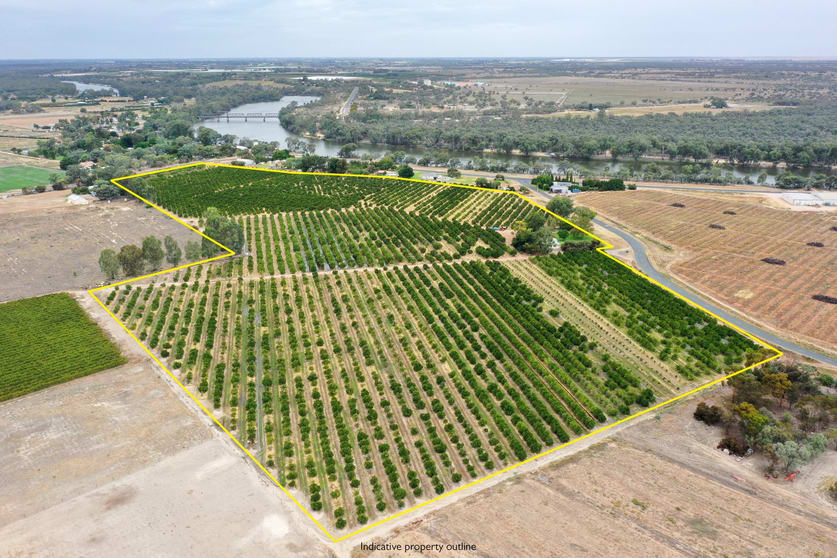 Click to view all images 615 Delta Road Curlwaa NSW 2648 - Image 1