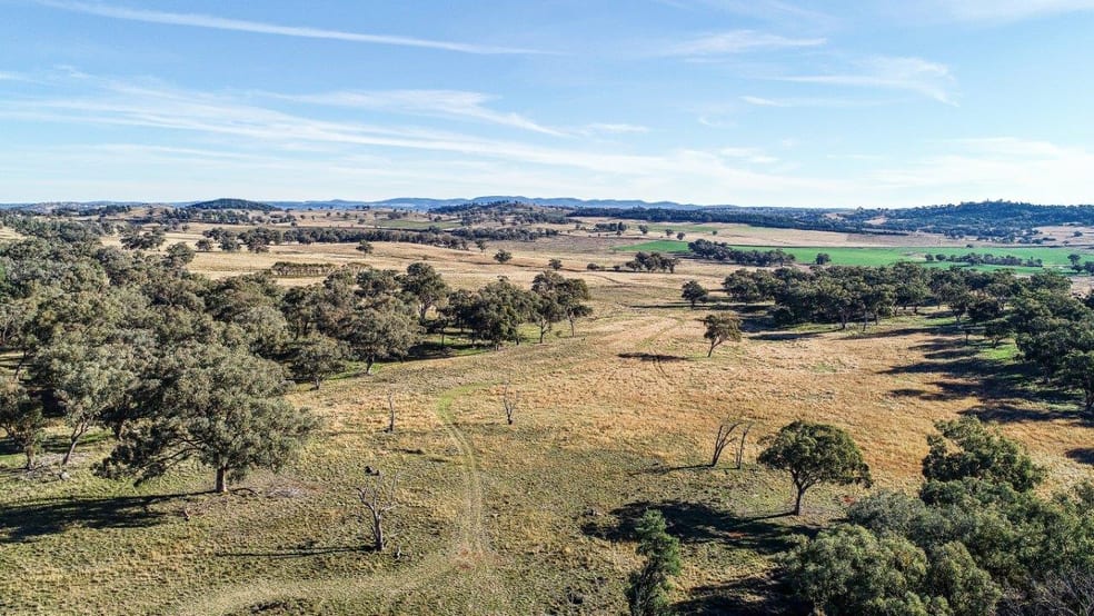 Click to view all images 7888 Burrendong Way Dripstone NSW 2820 - Image 3