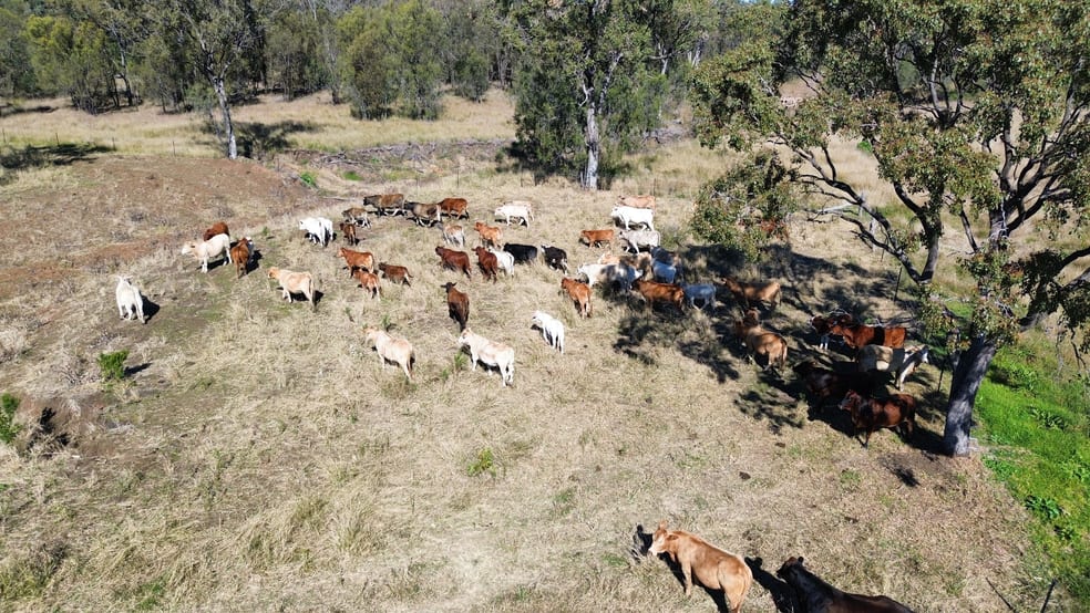 Click to view all images Lot 1 & 3 Kampfs Road Goombungee QLD 4354 - Image 2