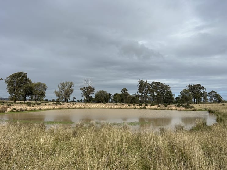 Click to view all images Lot 1 & 3 Kampfs Road Goombungee QLD 4354 - Image 3