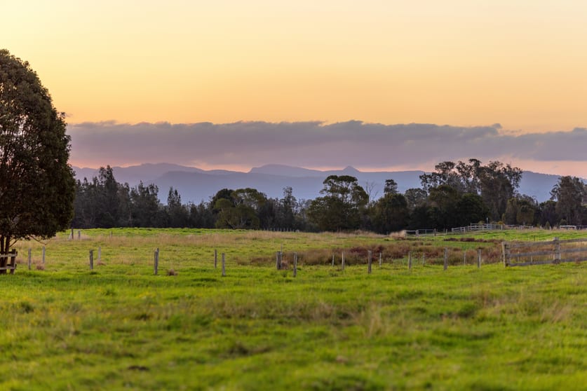 Click to view all images 67 Pelican Bay Road Mitchells Island NSW 2430 - Image 2