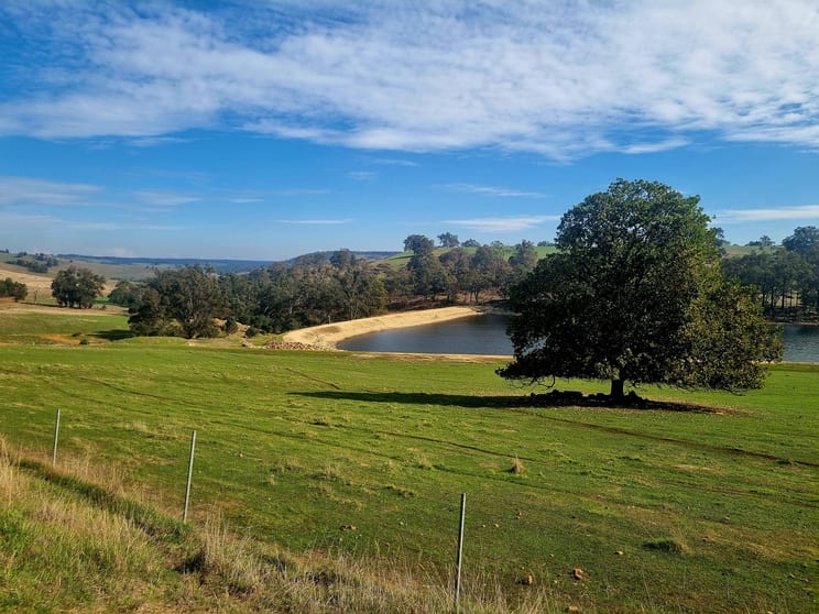 Click to view all images Wheatley Giblett Road Winnejup WA 6255 - Image 2
