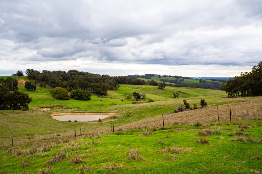Click to view all images 136 Mitchell Road Newlands WA 6251 - Image 3