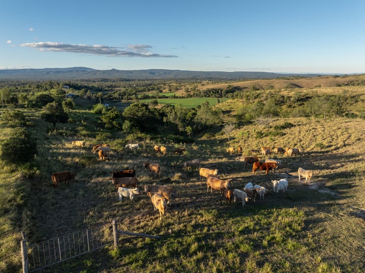 Click to view all images 'trecaine' Derrymore (lot 3) Road Derrymore QLD 4352 - Image 1