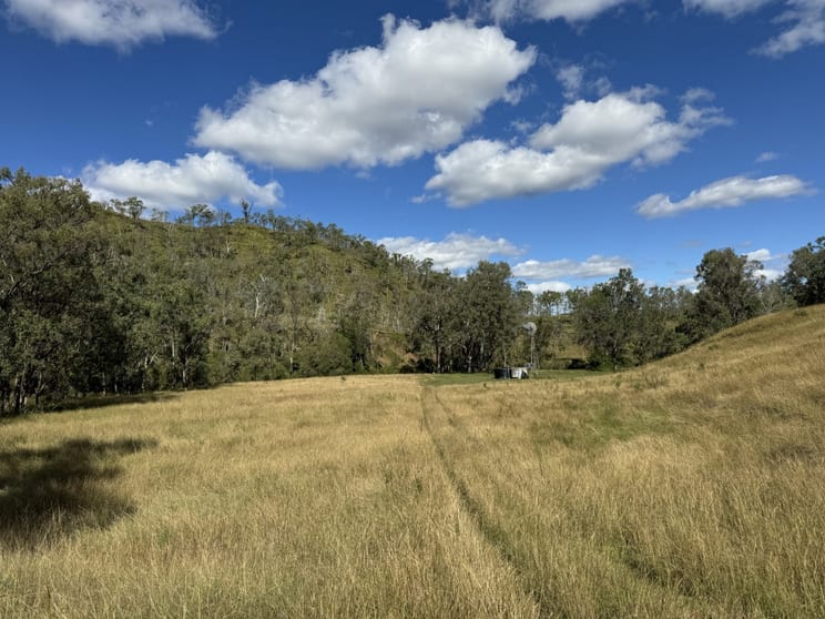 186 Mungungo Creek Road Monto QLD 4630 - Image 2