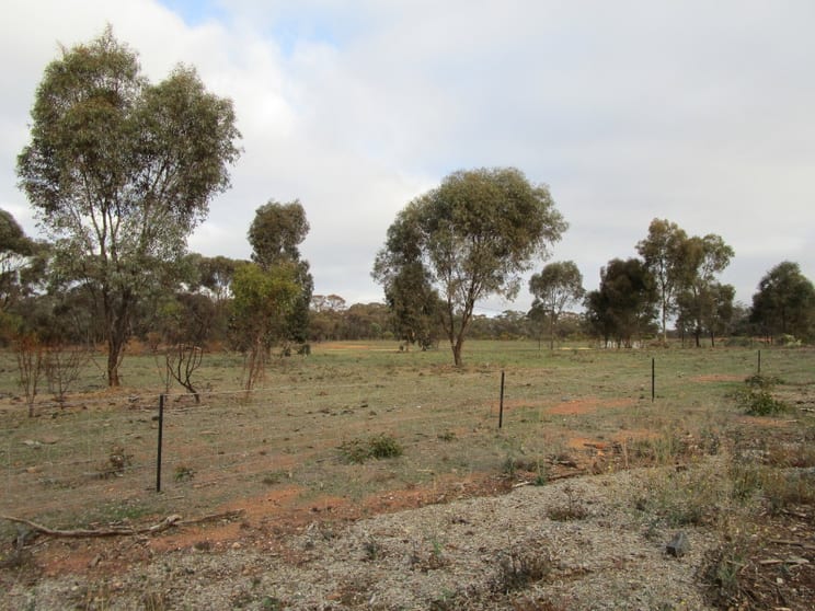 Click to view all images Lot 1 Benbow Road St Arnaud VIC 3478 - Image 2