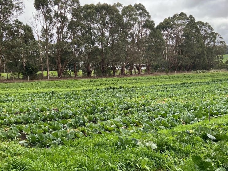 Click to view all images Rural & Farming business for sale in Yeo - Image 1