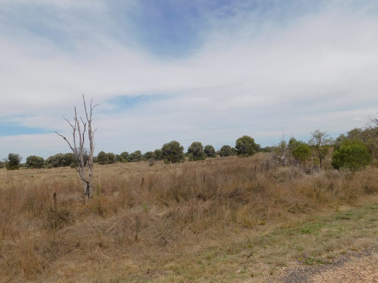 Click to view all images 132 - 137 Roaches Road Tara QLD 4421 - Image 3