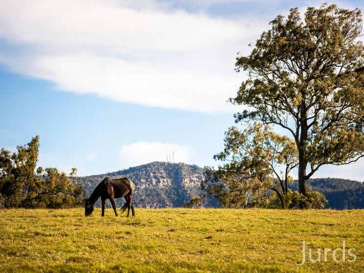 Click to view all images 40 Mistletoe Lane Pokolbin NSW 2320 - Image 2