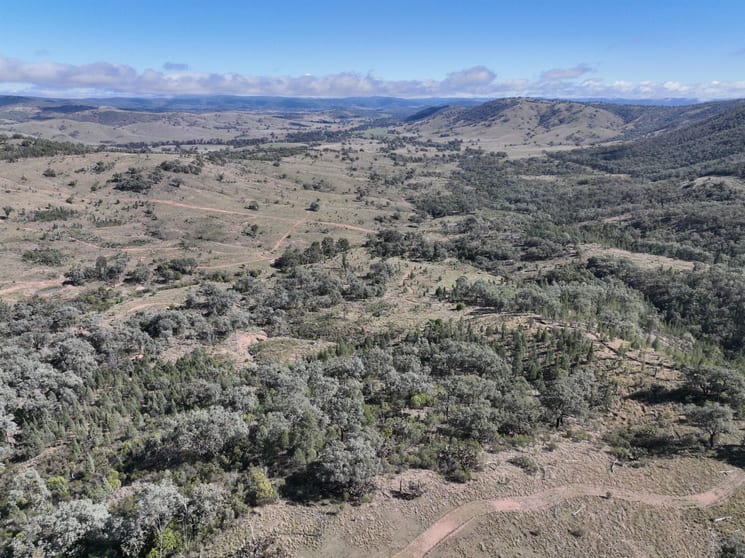 Click to view all images Lot 1 1872 Mole River Road Tenterfield NSW 2372 - Image 3
