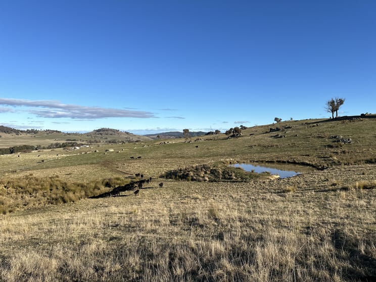 Click to view all images 739 Tooma Road Tumbarumba NSW 2653 - Image 2
