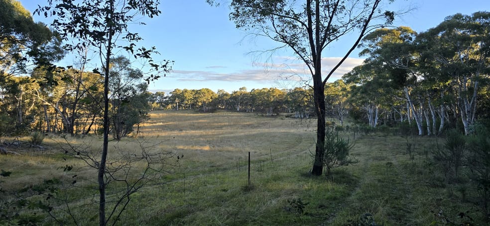 Click to view all images 1240 Boro Road Mayfield NSW 2580 - Image 3