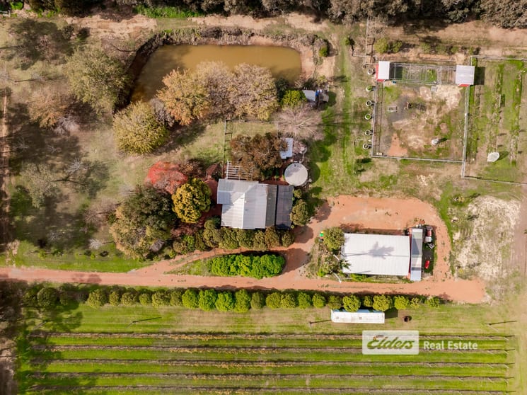 Click to view all images 221 Herbert Road Harvey WA 6220 - Image 3