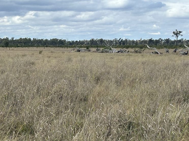 Click to view all images 1369 Yagaburne-Boondandilla Road Moonie QLD 4406 - Image 3