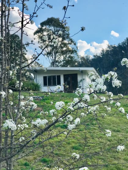 Click to view all images 2575 Paddys Flat Road Tabulam NSW 2469 - Image 2