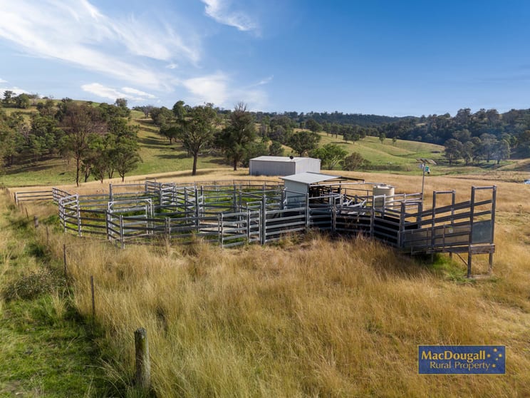 Click to view all images 93 Armidale Gully Road Armidale NSW 2350 - Image 3