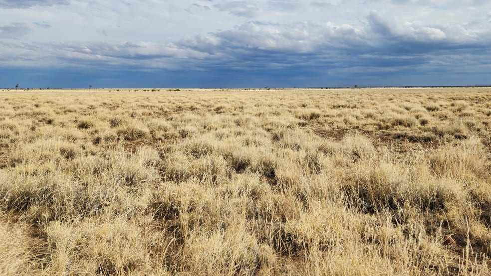 5075 Cramsie Muttaburra Road Longreach QLD 4730 - Image 1