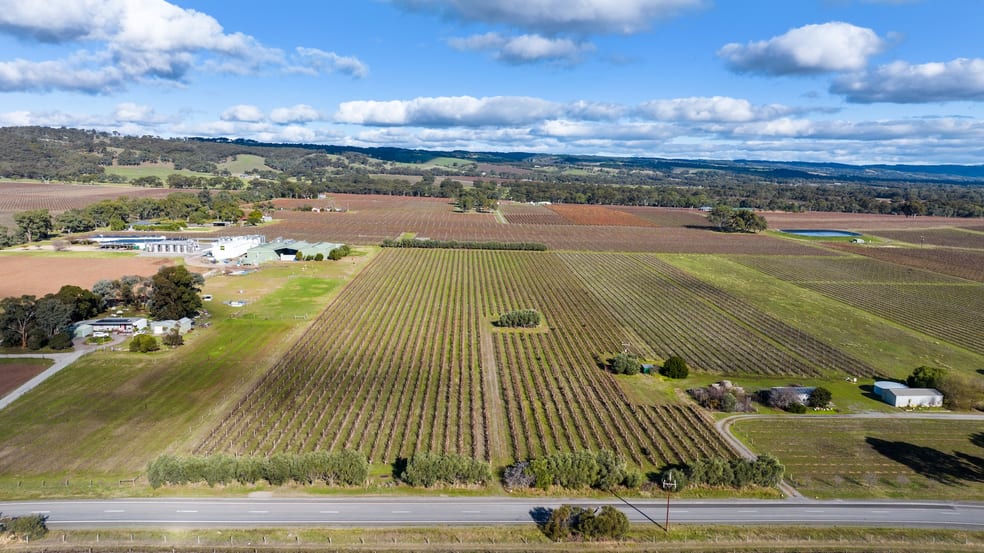 Click to view all images Lot 24 Hamilton Road Mclaren Flat SA 5171 - Image 1