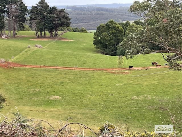 Click to view all images 184 Youngs Road Irishtown TAS 7330 - Image 2