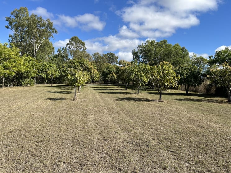 Click to view all images 296 Mount Dangar Road Bowen QLD 4805 - Image 1