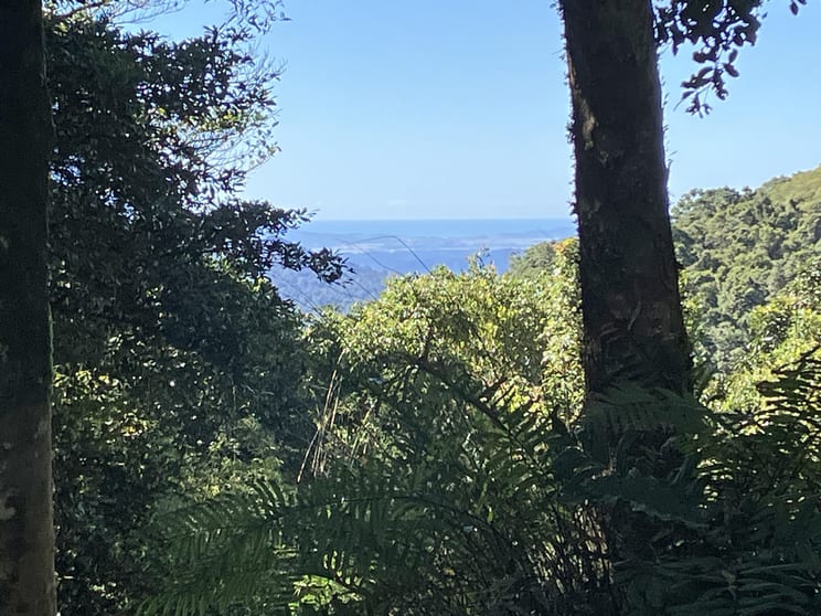 Click to view all images Topaz QLD 4885 - Image 1