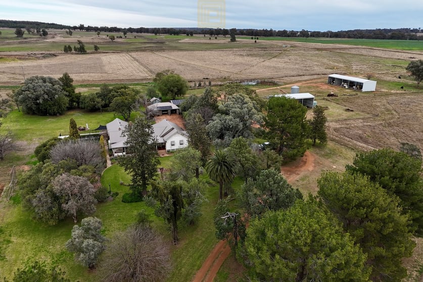 Click to view all images 3744 Purlewaugh Road Purlewaugh NSW 2357 - Image 1