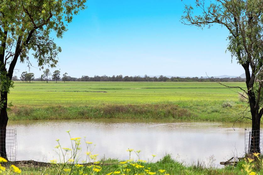 Click to view all images 416 Roona Road Junabee QLD 4370 - Image 3