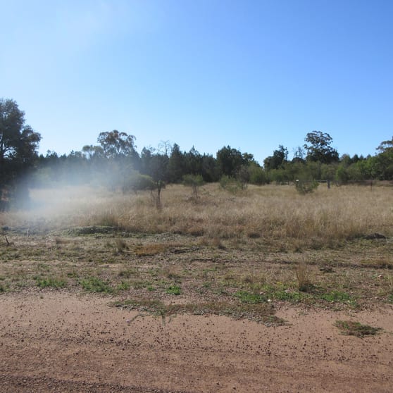 Click to view all images Lot 37 Gazzards Road Tara QLD 4421 - Image 1