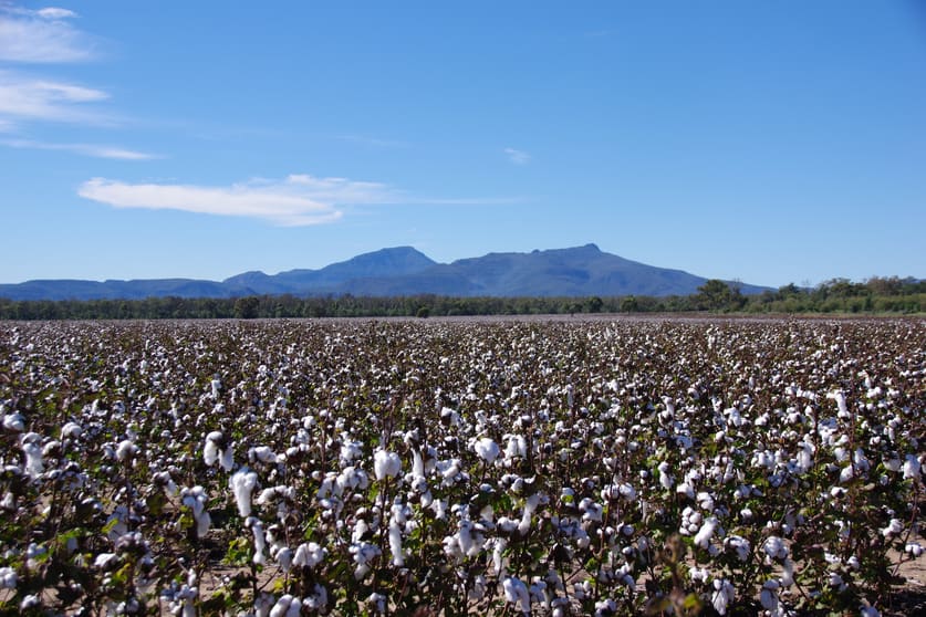 Click to view all images 788 Couradda Road Narrabri NSW 2390 - Image 1