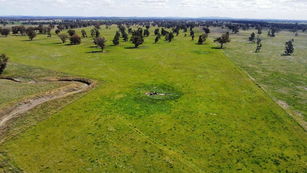 Click to view all images 1843 Yeo Yeo Hampstead Road Young NSW 2594 - Image 3