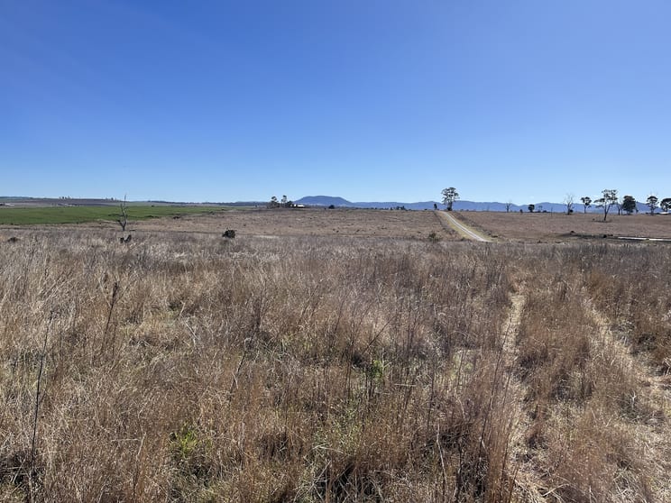 Click to view all images 321 Box Road Loch Lomond QLD 4370 - Image 2