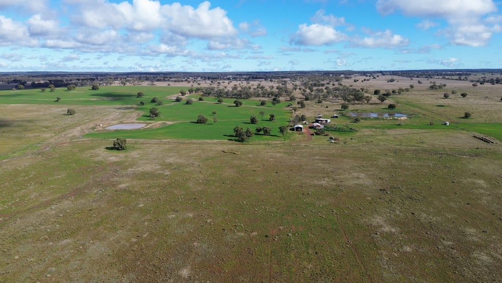 Click to view all images 3267 Fifield Road Fifield NSW 2875 - Image 1