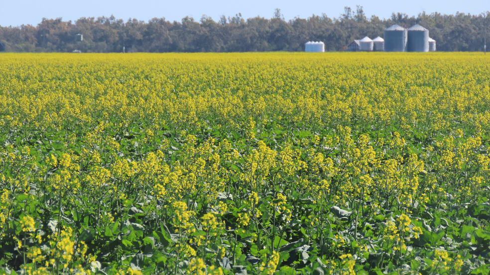 18833 Gore Highway Goondiwindi QLD 4390 - Image 2