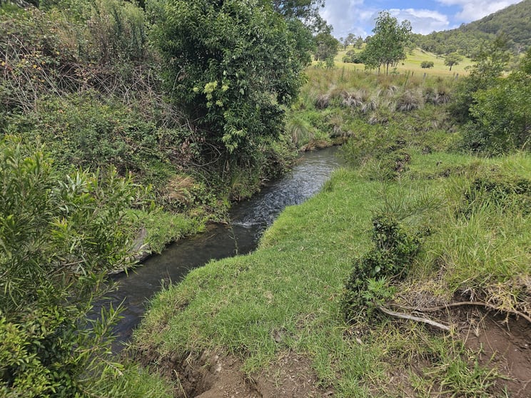 177 Killarney Rd Legume NSW 2476 - Image 2