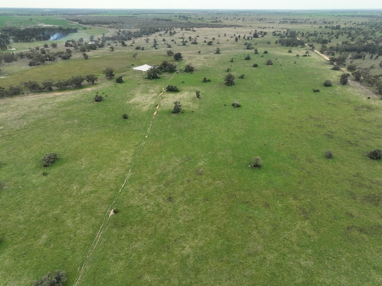 Click to view all images Thornleigh on McLeod 857 Trangie Dandaloo Road Trangie NSW 2823 - Image 2