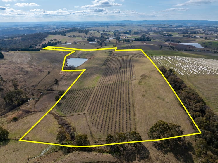 'Tullmax Lodge' Lot 2 103 Old Canobolas Road Orange NSW 2800 - Image 2