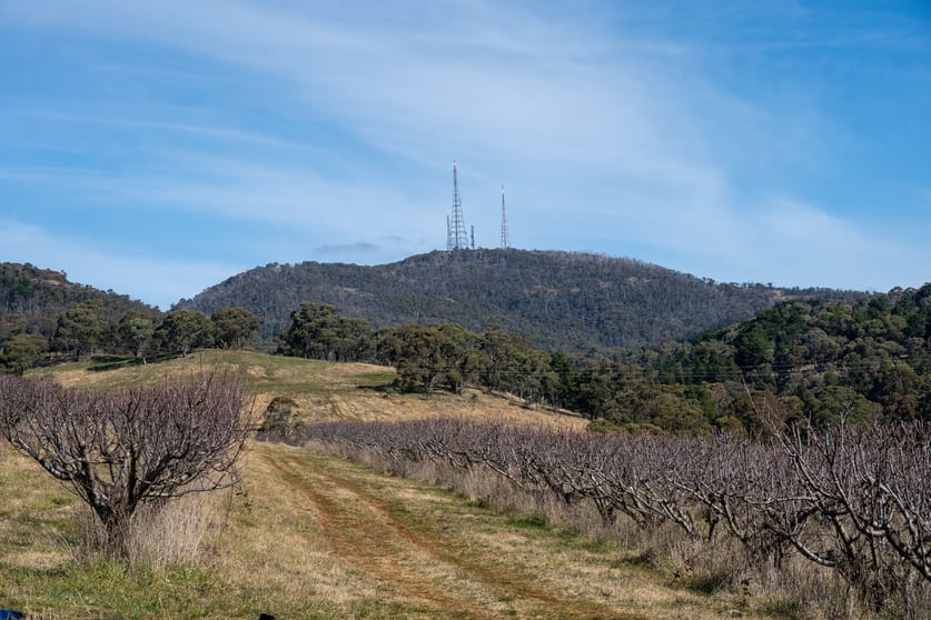 'Tullmax Lodge' Lot 2 103 Old Canobolas Road Orange NSW 2800 - Image 1