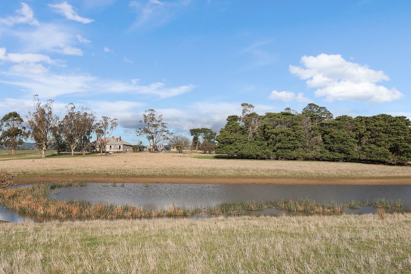 Click to view all images 535 Birregurra-Deans Marsh Road Birregurra VIC 3242 - Image 3