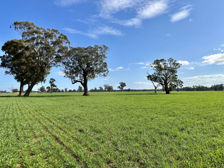Click to view all images 2791 Sturt Highway Wagga Wagga NSW 2650 - Image 1
