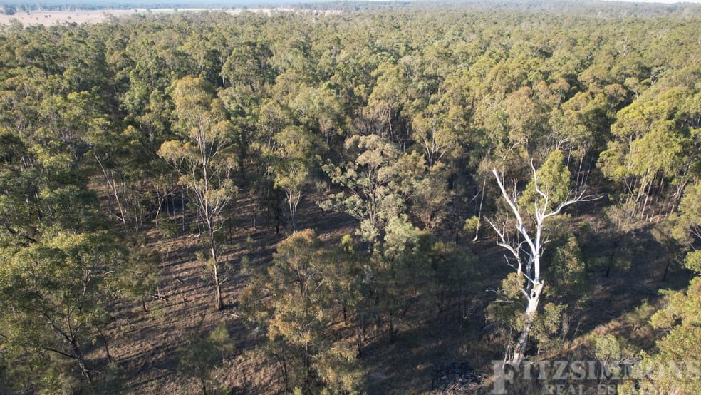 Click to view all images Jandowae QLD 4410 - Image 3