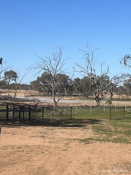 Click to view all images Maroona Station Kidman Way Bourke NSW 2840 - Image 2