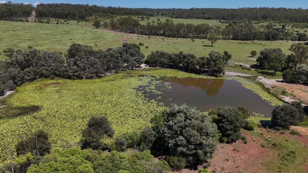 'Reece Park' 110 Greentree Lane, Beeron Mundubbera QLD 4626 - Image 2