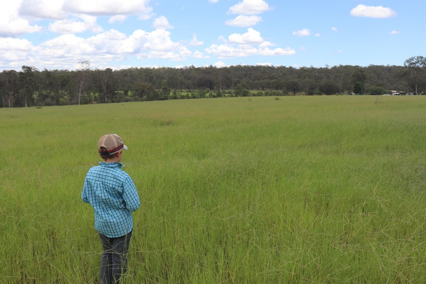 'Reece Park' 110 Greentree Lane, Beeron Mundubbera QLD 4626 - Image 1