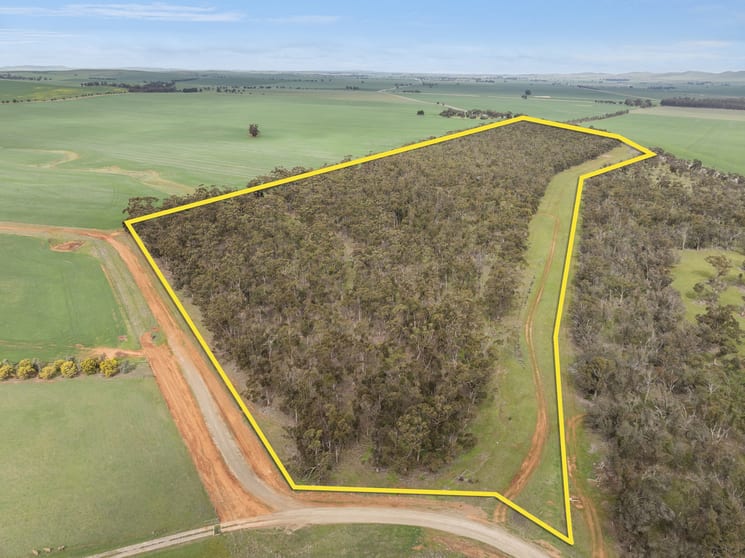 Click to view all images 7453 Booborowie Road Leighton SA 5417 - Image 1