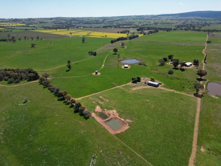 Click to view all images 443 Wirrimah Road,Bendick Murrell Wirrimah NSW 2803 - Image 2