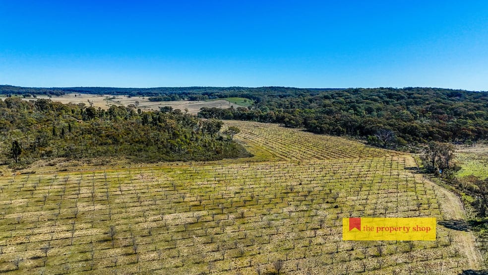 Click to view all images Lot 77/369 Montaza Road Gulgong NSW 2852 - Image 1